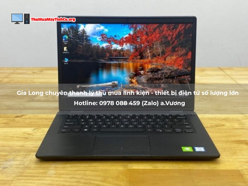 laptop cũ quận tân phú